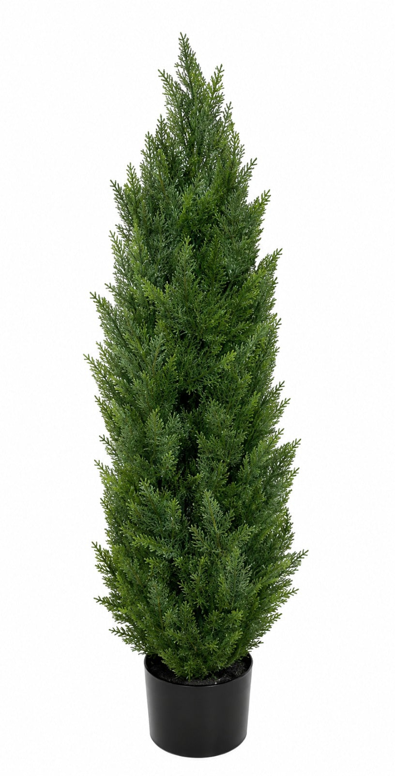 2589-26838.jpg