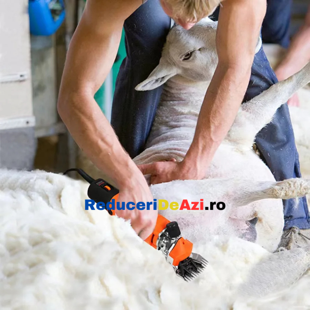 MASINA DE TUNS OI ELECTRICA 850W LEIHMANN