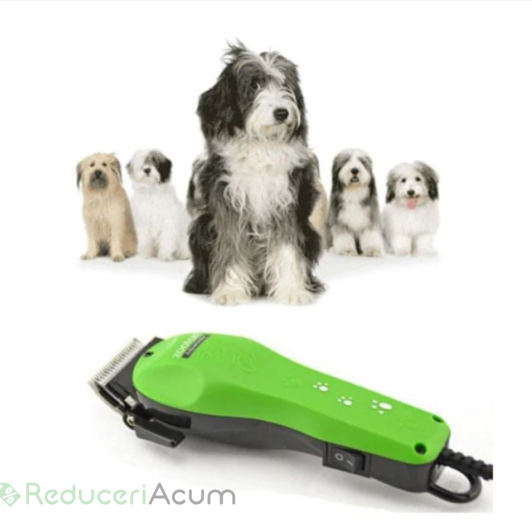 Ingrijeste blana animalelor de companie cu aparatul de tuns