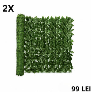 2606-26940.jpeg