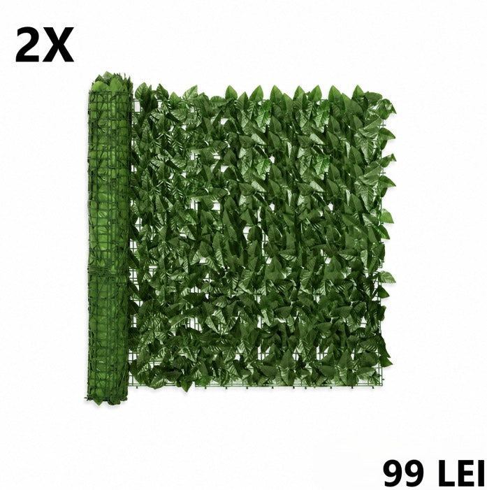 2606-26940.jpeg